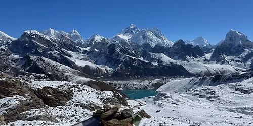 Hi-Fins - The Sixties Experience