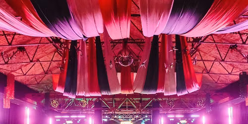 Bingo Lingo - Christmas - Deck The Balls