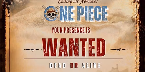 One Piece Party