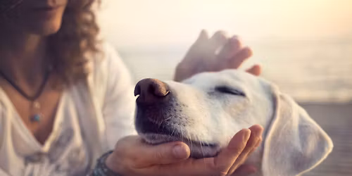 Animal Communication Class with Valerie Wild Owl