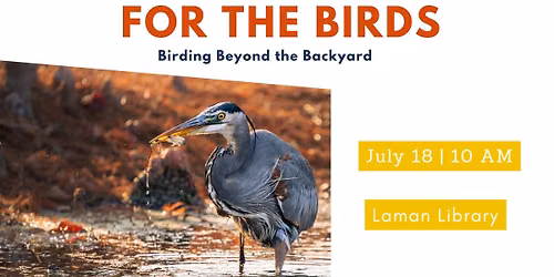 For The Birds: Birding Beyond The Backyard