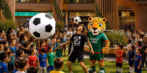 \u26bd Fox Valley World Cup Festival