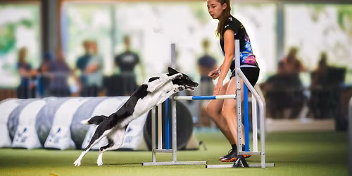 Agility semin\u00e1r s Ani\u010dkou Posp\u00ed\u0161ilovou