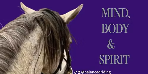 Dressage, Working Equitation & Horsemanship 1, 2, 3 Day Camp