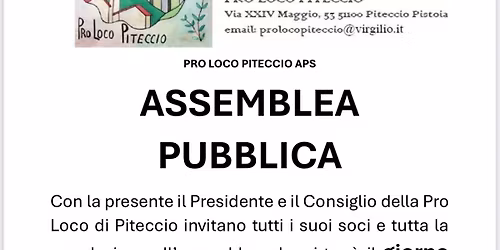 Assemblea Pubblica