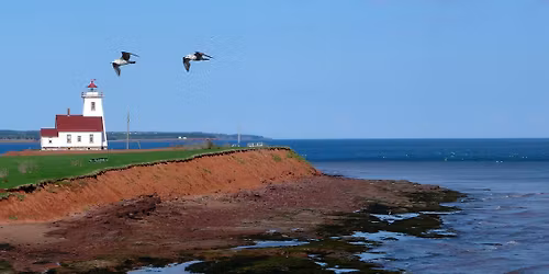 Prince Edward Island Crochet Adventure