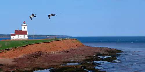 Prince Edward Island Crochet Adventure