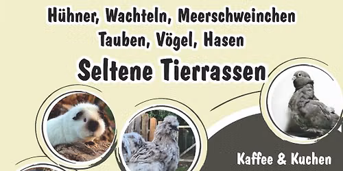 St 13 Kleintierausstellung 