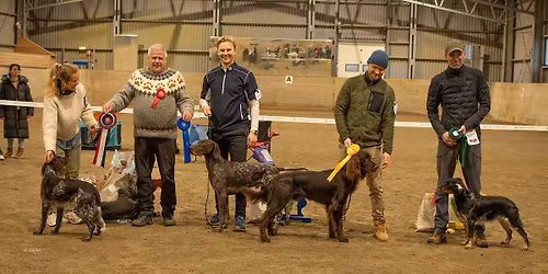 Fellesutstilling Vest 2026