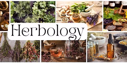 Herbology - Understanding Medicinal Plants
