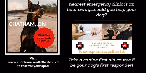 Canine Health & Emergency First Aid - Chatham, Ontario