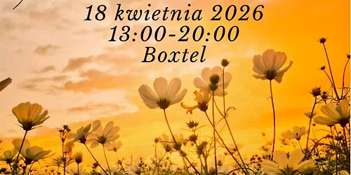 Wiosenna Transformacja 