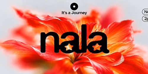 Nala | Rooftop Party