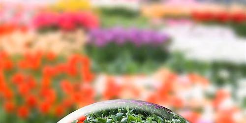 July 14: New SuperMoon Gong Bath | Revealed