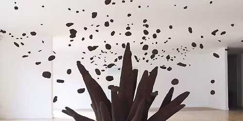 Bombes \u00e0 Graines avec Caroline Le M\u00e9haut\u00e9 