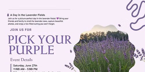 Pick Your Purple Lavender Event
