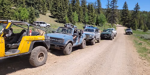 Bronco Safari