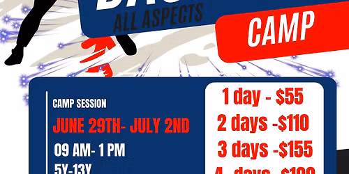 Summer baseball camp