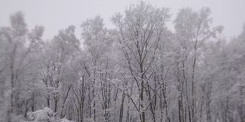 LAATSTE PLEK - Een nieuw begin - Nieuwjaarsretraite en verhalen weekend - 2 tot 4 januari 2026