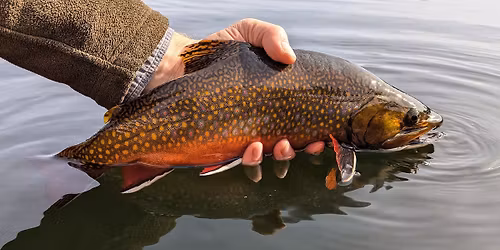 Great Waters Fly Fishing Expo - 2026