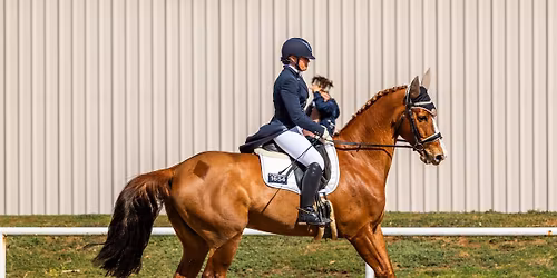 Group Dressage Lessons 