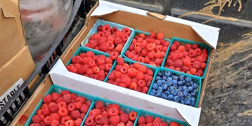 Fresh Berries-Curds, Custards, and Creams