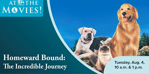 At the Movies: Homeward Bound: The Incredible Journey