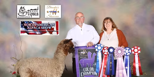 Dinner with the Alpacas