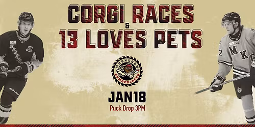 Corgi Races & 13 Loves Pets