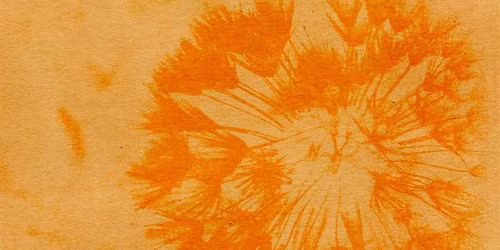 Anthotype Printing: Sustainable Photographic Practices Workshop