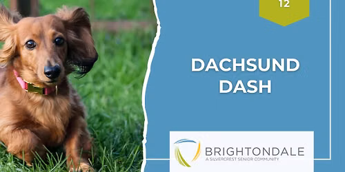 Annual Dachsund Dash