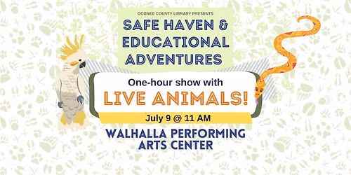 Safe Haven