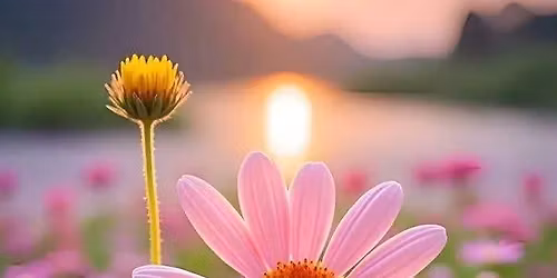 S R K \ud83d\ude45\u200d\u2642\ufe0f08