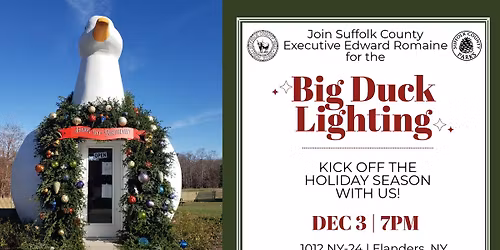 The Big Duck Lighting