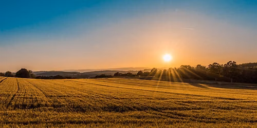 Preserving the Future: How Conservation Easements Work