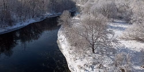 Forest Bathing Guided Walk