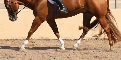 English Show - Twin Lakes Riding Club