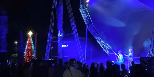 Christmas in the Domain & Tree Lighting