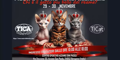 MOSTRA FELINA INTERNAZIONALE DI AZZANO SAN PAOLO (BG)