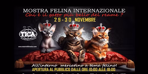 MOSTRA FELINA INTERNAZIONALE DI AZZANO SAN PAOLO (BG)