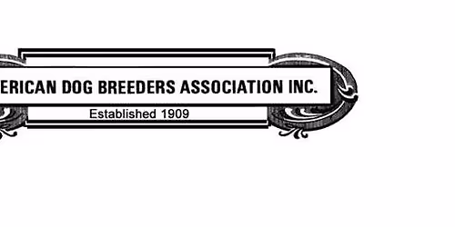 2026 Great Lakes Pit Bull Club Conformation Shows