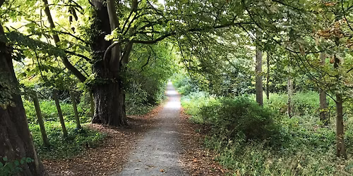 Historietur for de mindste tilmeldingstur - Agernladen i Gr\u00e5sten Skov