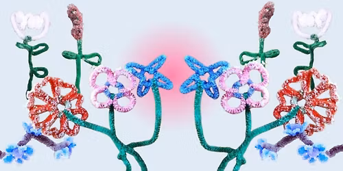 Curious Creators: Crystal Gardening