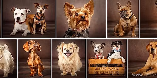 2. hundemesse Troisdorf