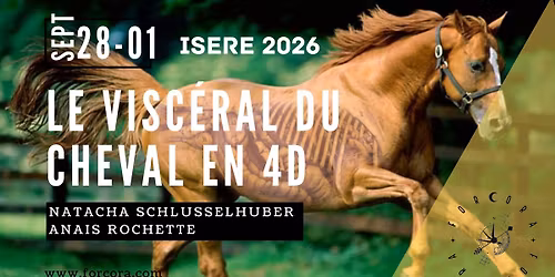  Visc\u00e9ral 4D cheval ISERE