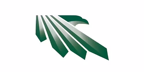 Prosper High School Band Annual Mattress Fundraiser