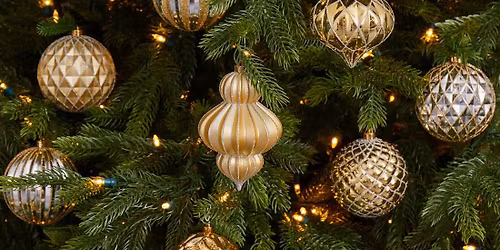 AICS Christmas Party