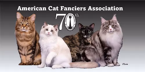 CAT SHOW -  CROWN POINT, IN