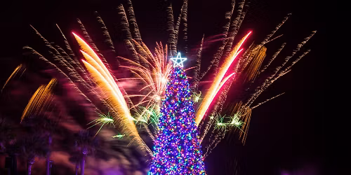 The Annual Ritz-Carlton Christmas Tree Lighting Benefiting Nassau County