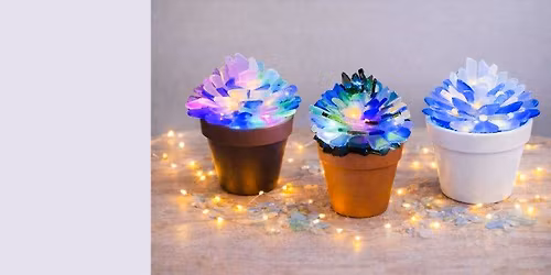 Lighted Sea Glass Succulents \u2013 August 29